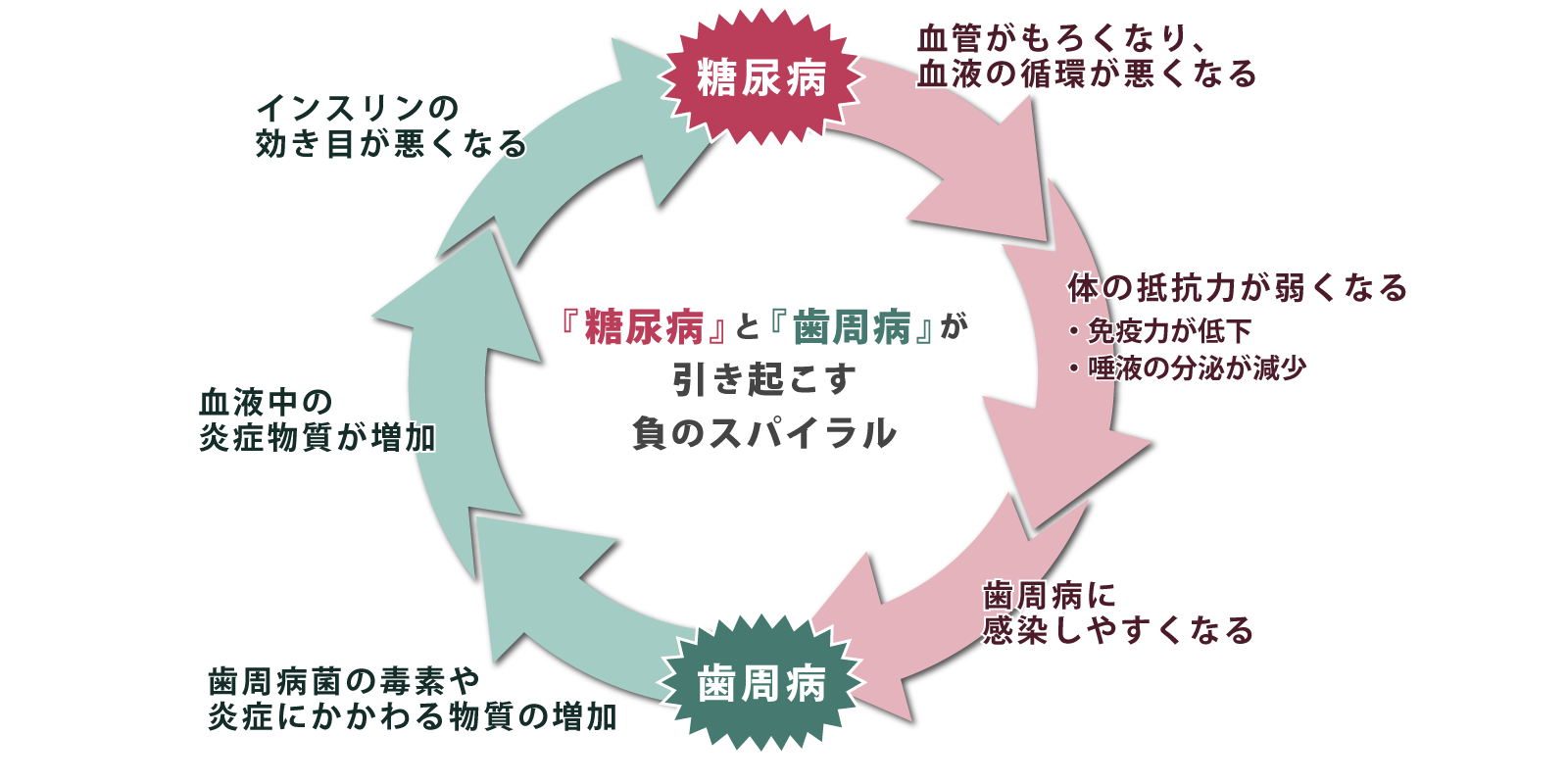 『糖尿病』と『歯周病』は負のスパイラルのイメージ